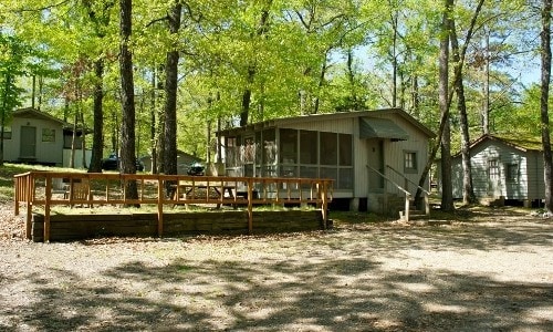 Rooster (B Cabin)