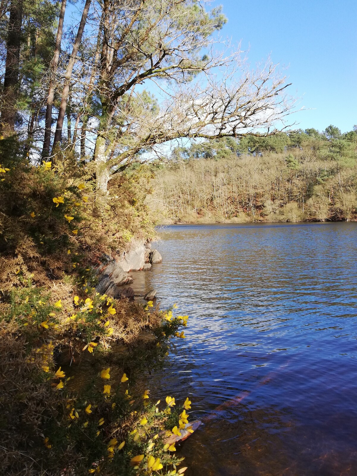 移动房屋3ch格雷丹湖（ Lac de Guerlédan ）壮丽景色