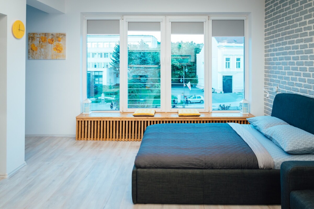单间公寓标准双人床