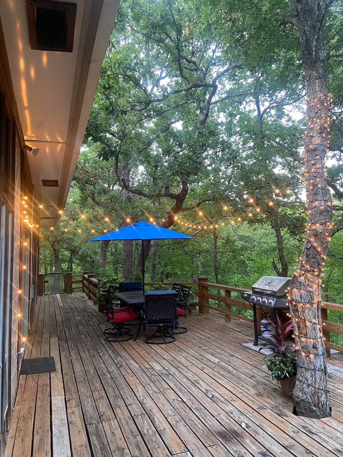 Bow Hunting Paradise/Forest Retreat-Arbuckle Lake