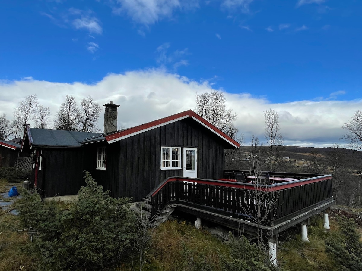 Cosy mountain cabin close to Geilo!