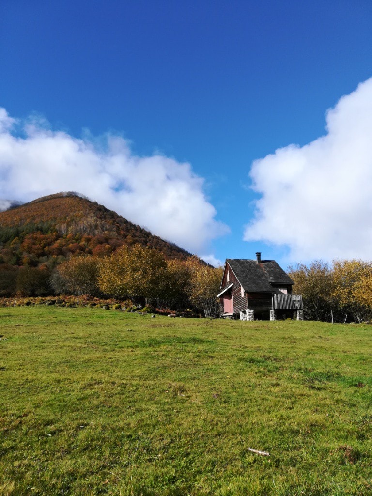 Chalet de la forêt d 'Issaux n ° 3: le montagnard