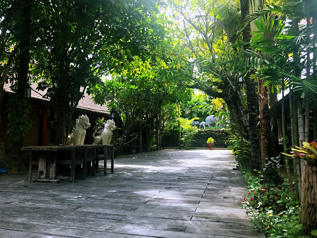 热带雨林庭院（6个房间可入住12位+两辆旅行车）
