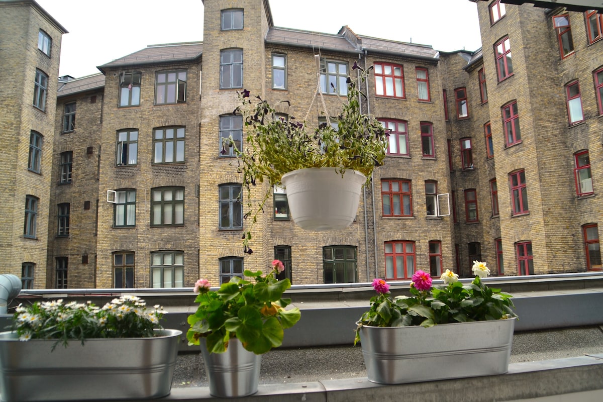 位于市中心美妙的哥本哈根公寓