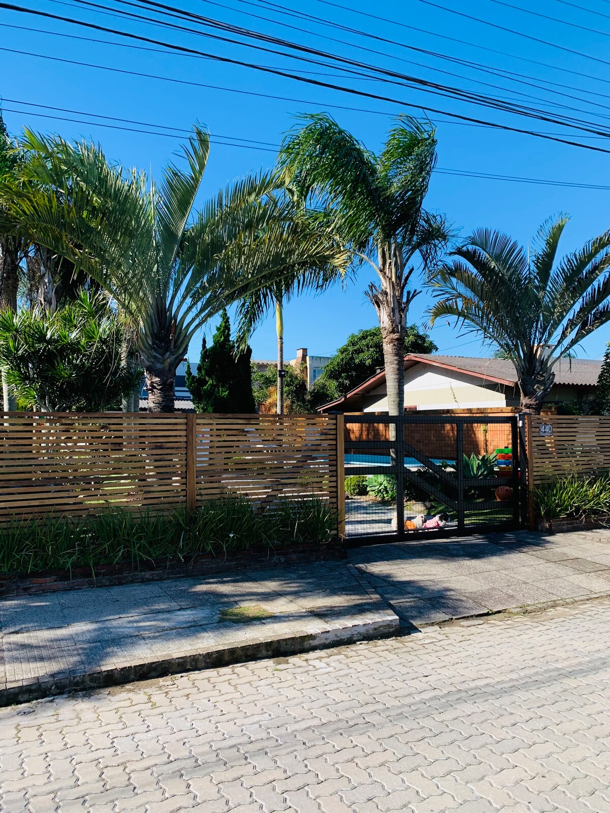 Refúgio das Palmeiras | Casa Flora