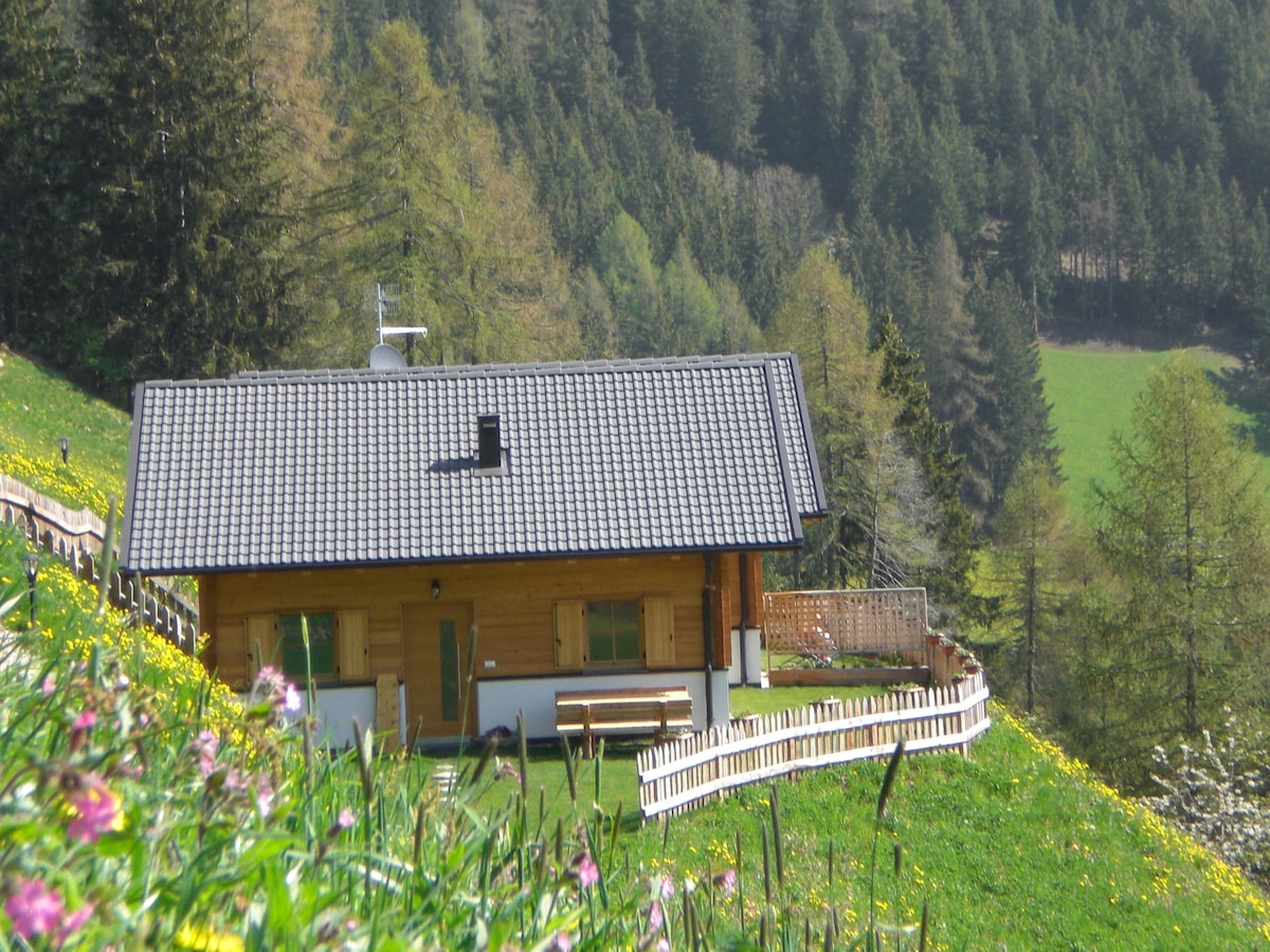 Chalet Niederhaushof Enzian