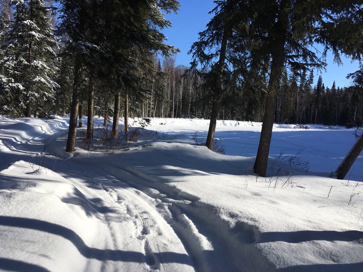 育空探索步道（ Yukon Quest Trail ）上的舒适谷户外小木屋