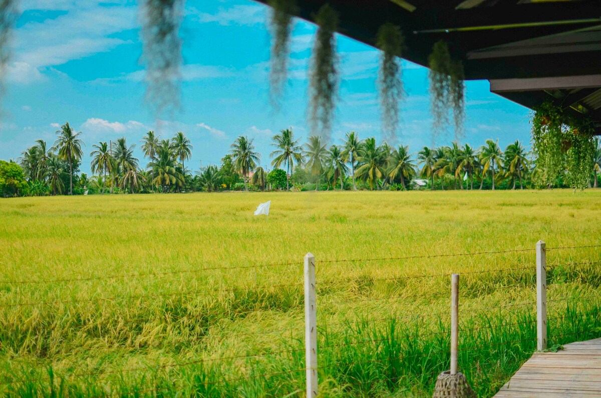 Farmstay in Thai countryside -4