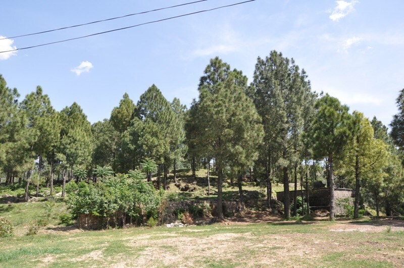 芒特·阿博特度假村（ Mount Abbot