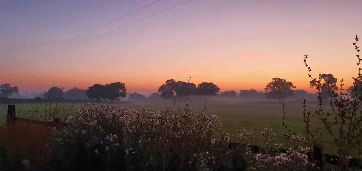 The Owl at Chapel Farm Nantwich