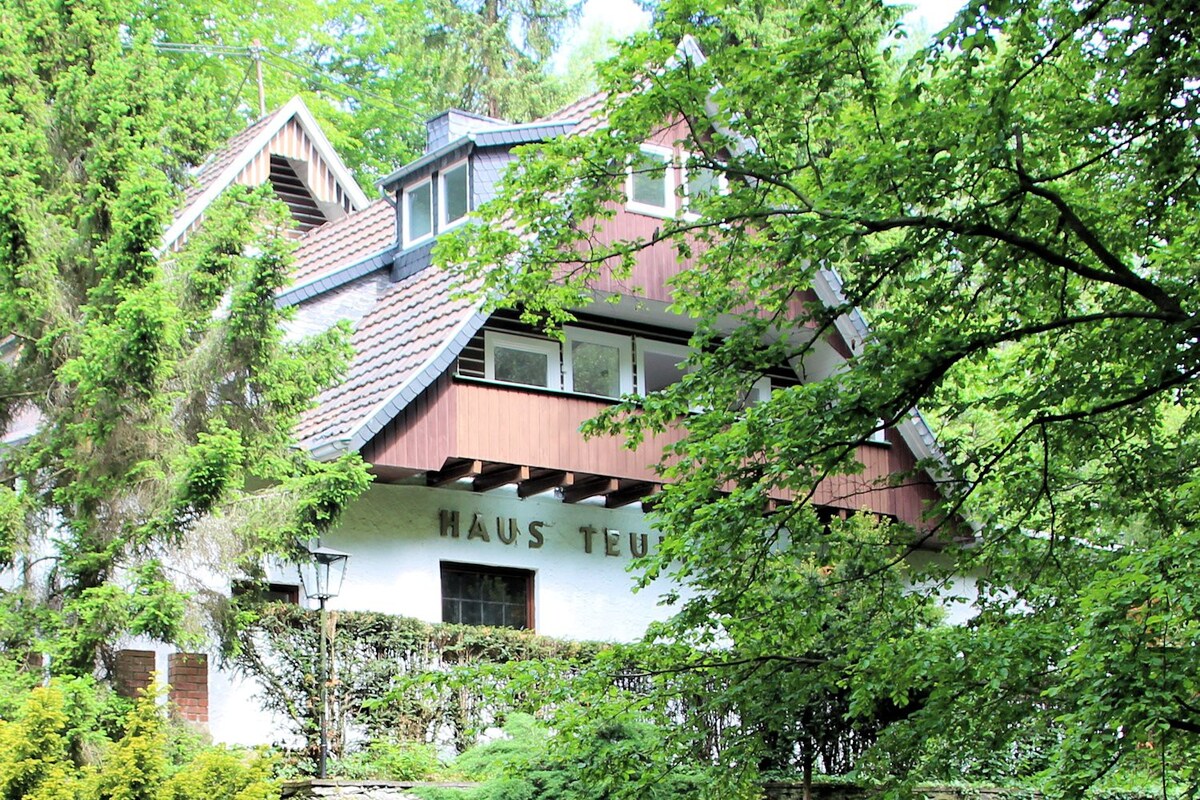 Haus Teufenbach ：森林景观公寓