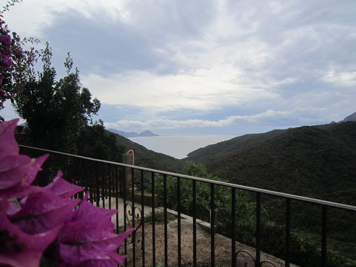 Appartement fonctionnel calme vue mer