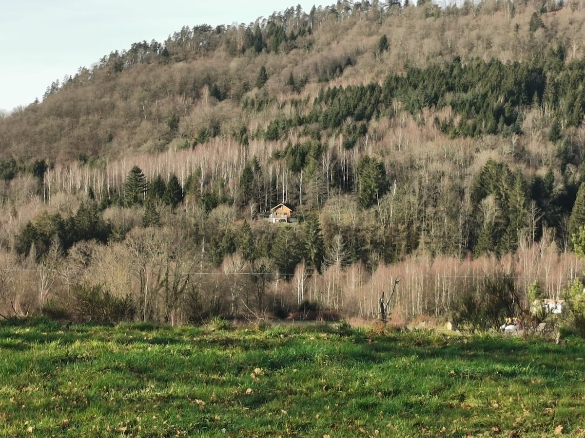 Magnifique chalet au calme