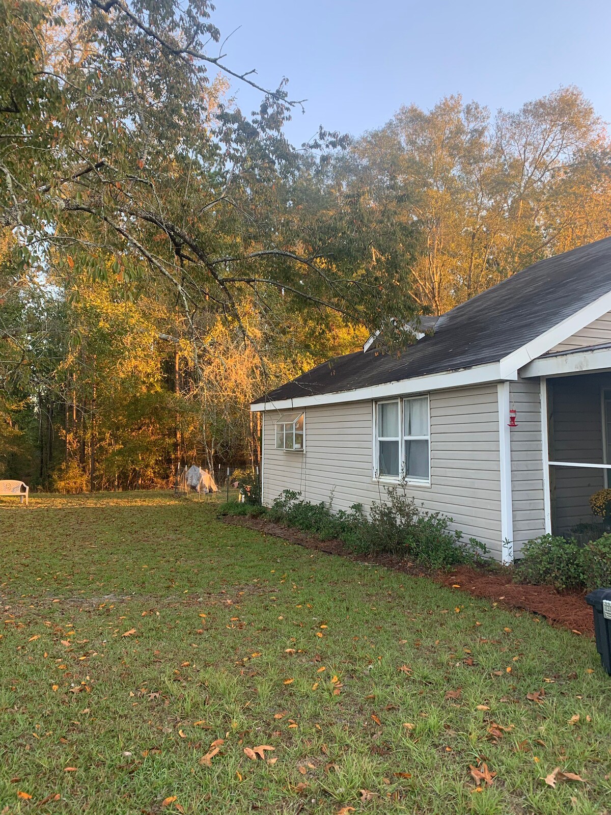 Renee 's Hunting Cabin