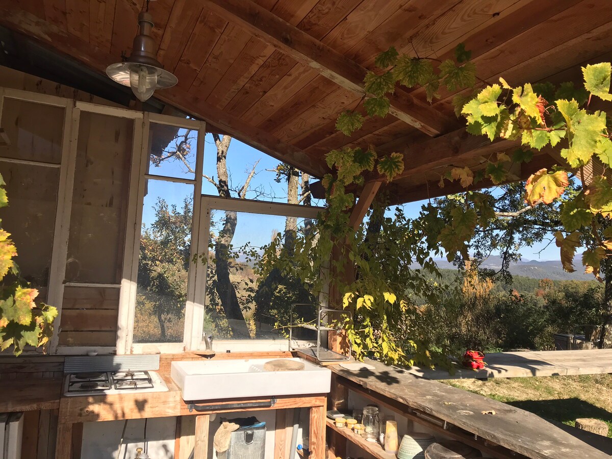 Maison dans la forêt