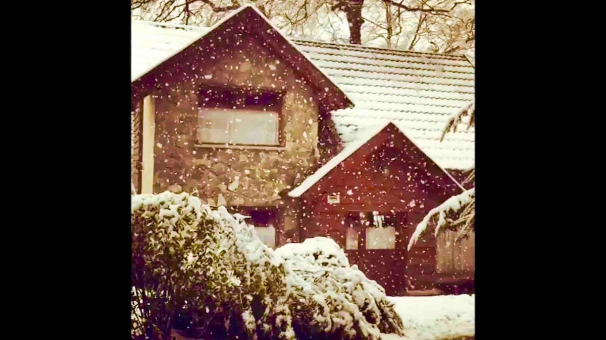 Cottage in forest surroundings