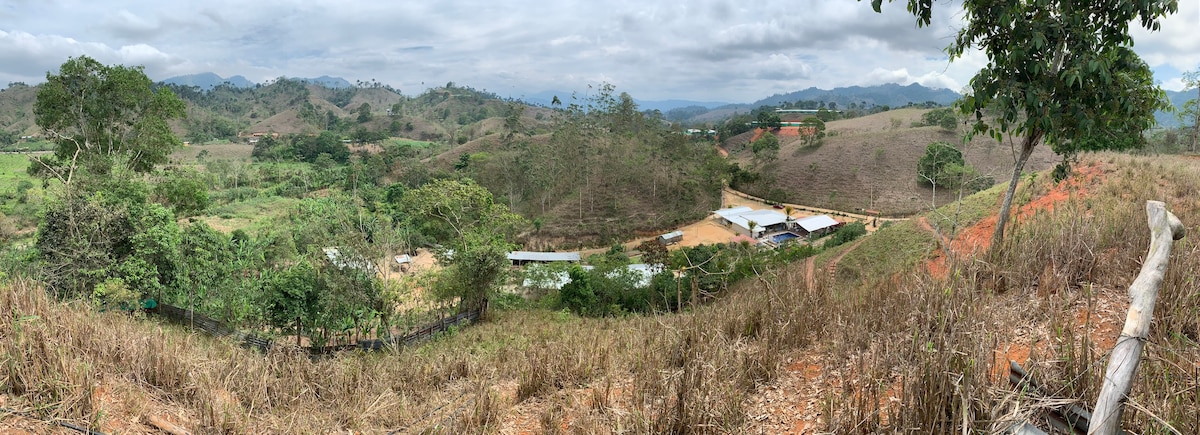 Finca Lolita ，我们是您的一部分.. ！