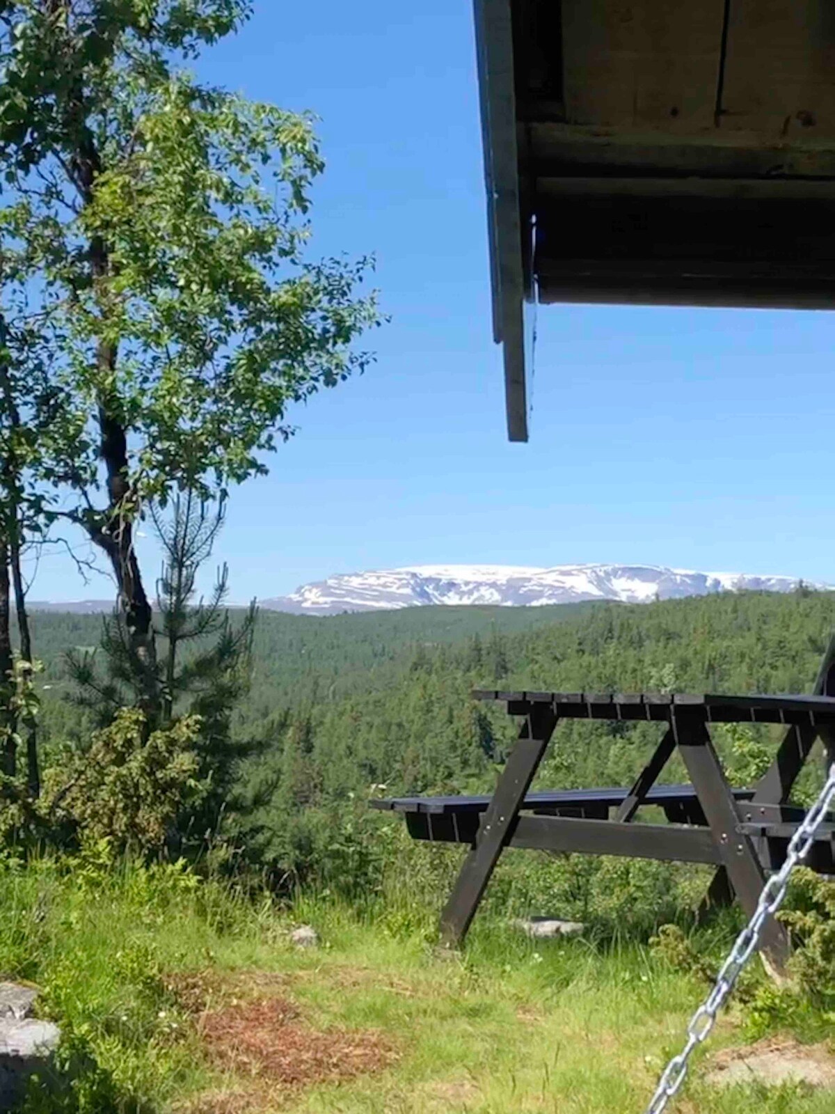Koselig krypinn med den vakreste utsikten i Ål!