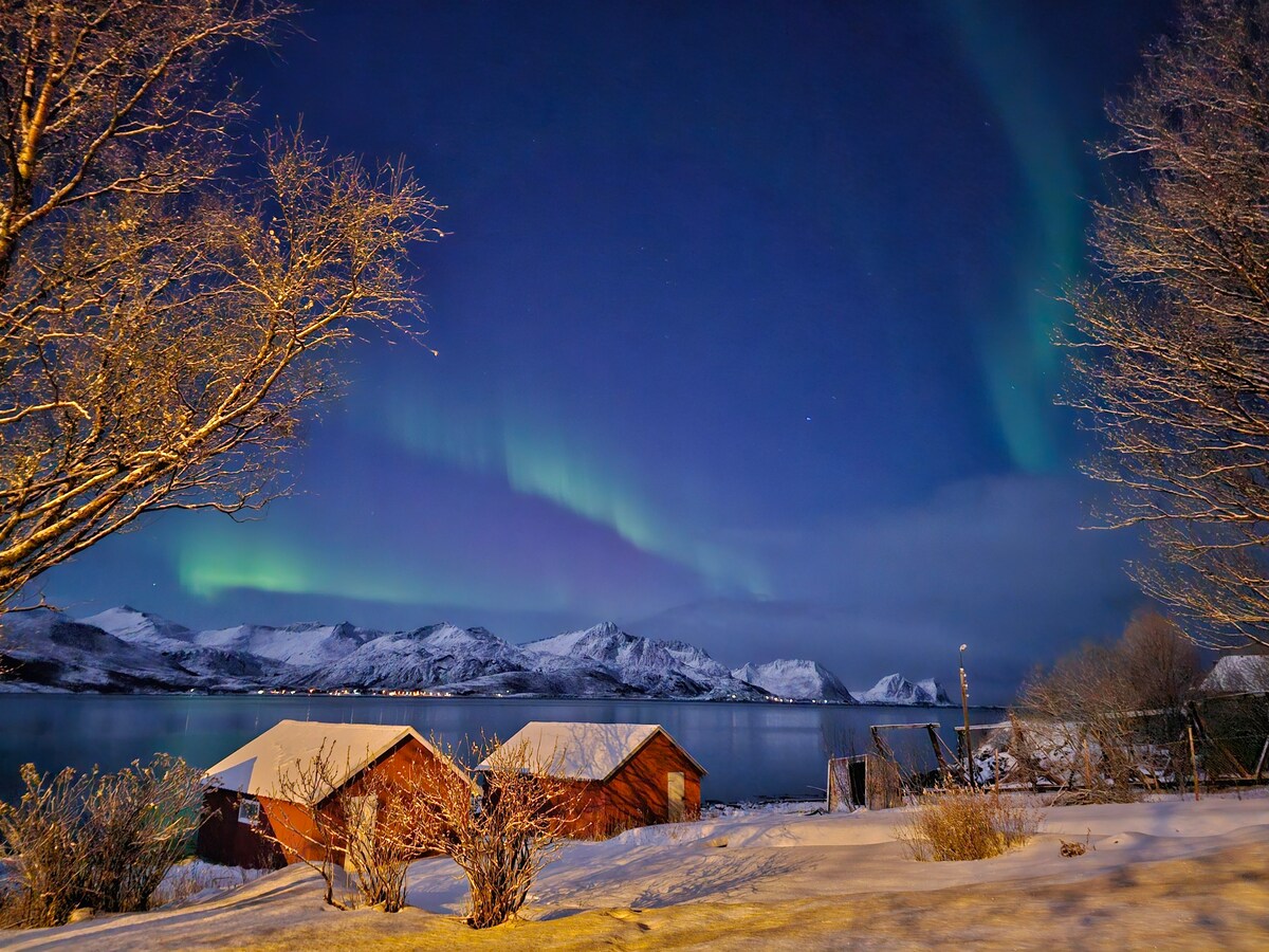 Sjøtun Senja
House ，俯瞰Bergsfjord