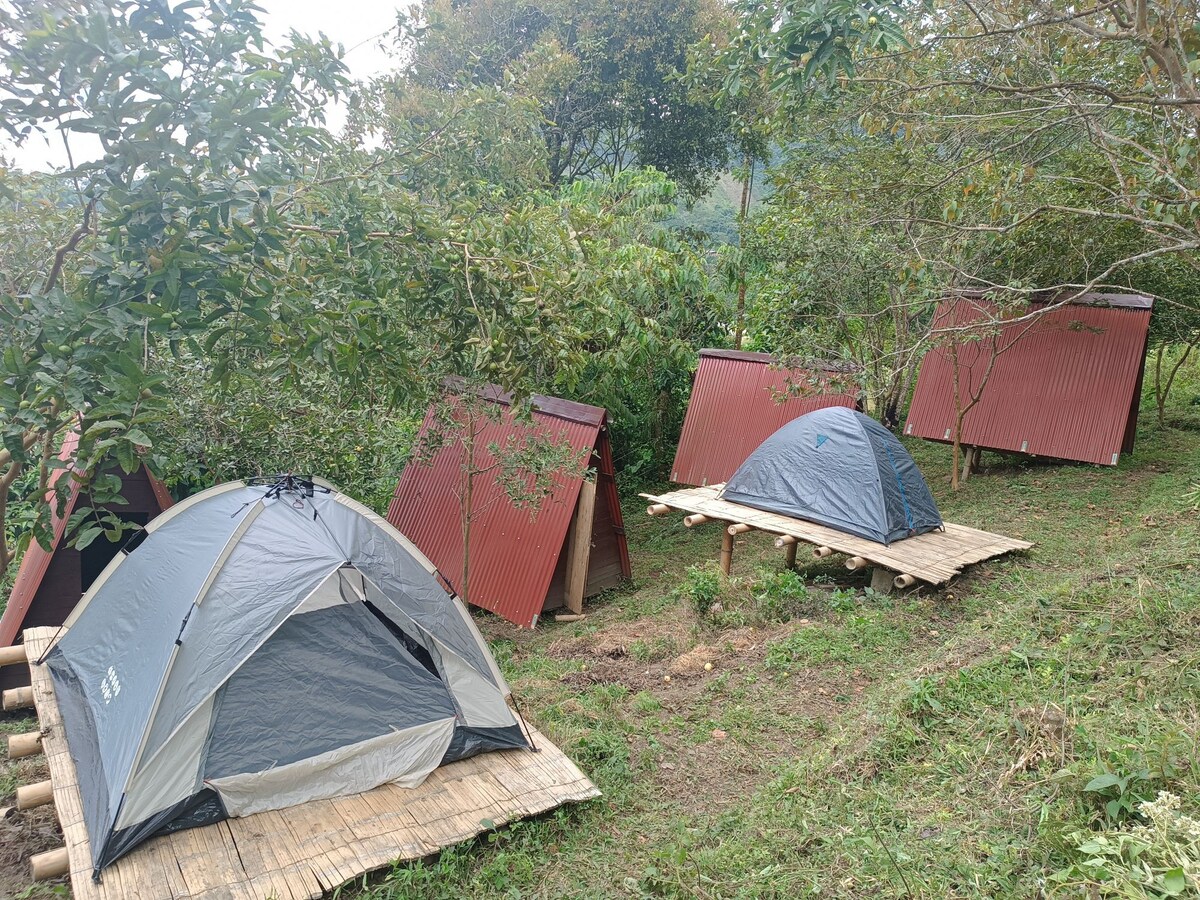zona camping en el bosque
