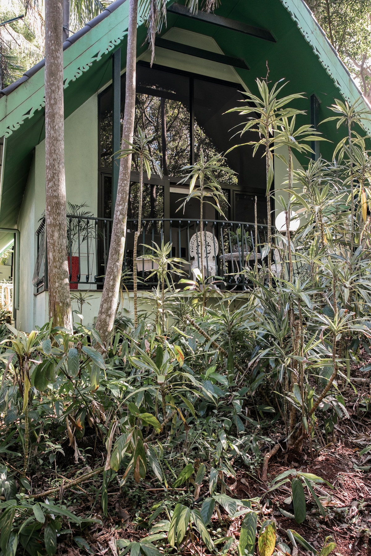 在坦博林山雨林地下度假木屋休息