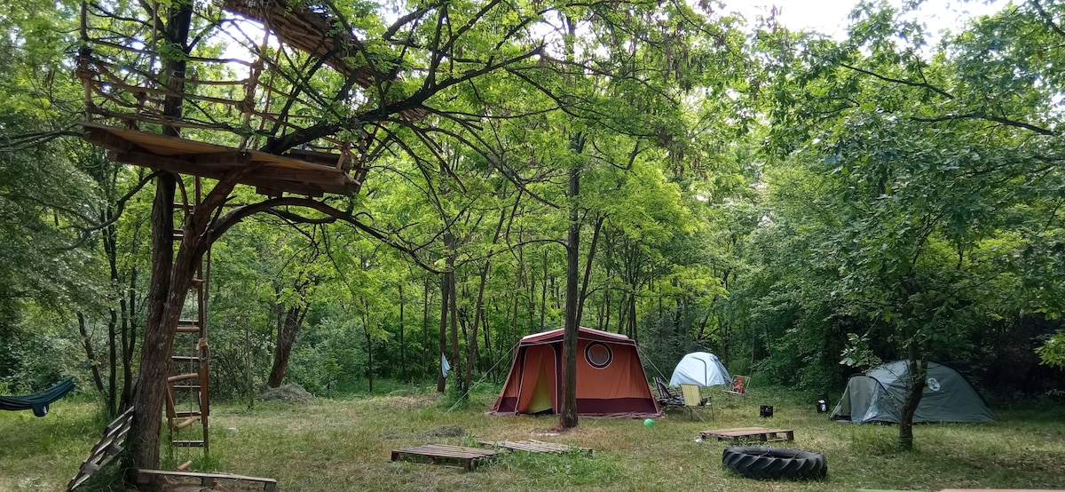 不同的贝尔格莱德露营-帐篷3