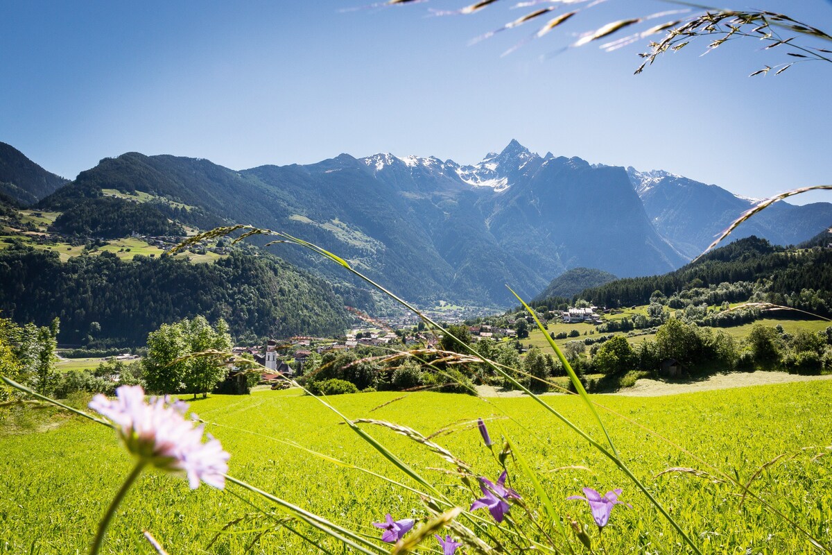 Appartement Alpen Flair