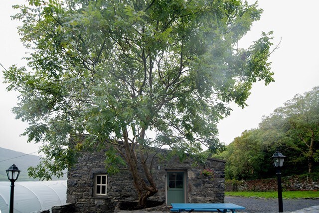 Glynn 's Charming cottage in the Burren
