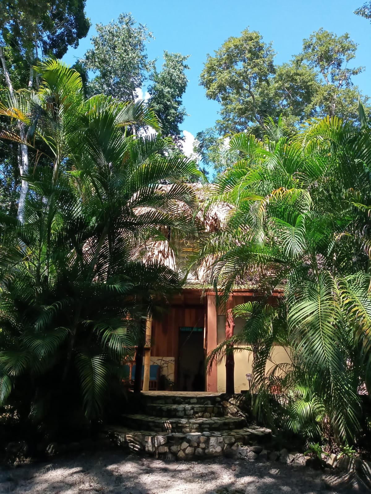 Casa local maya