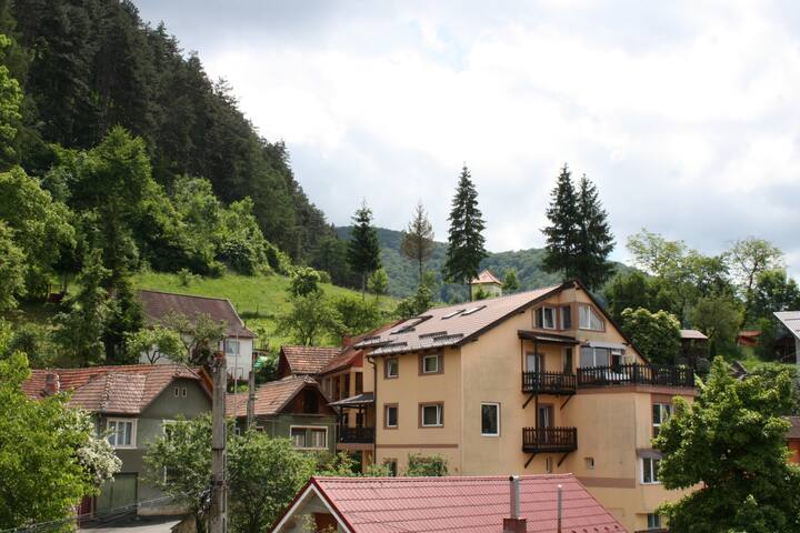 布拉索夫(Brașov)的民宿