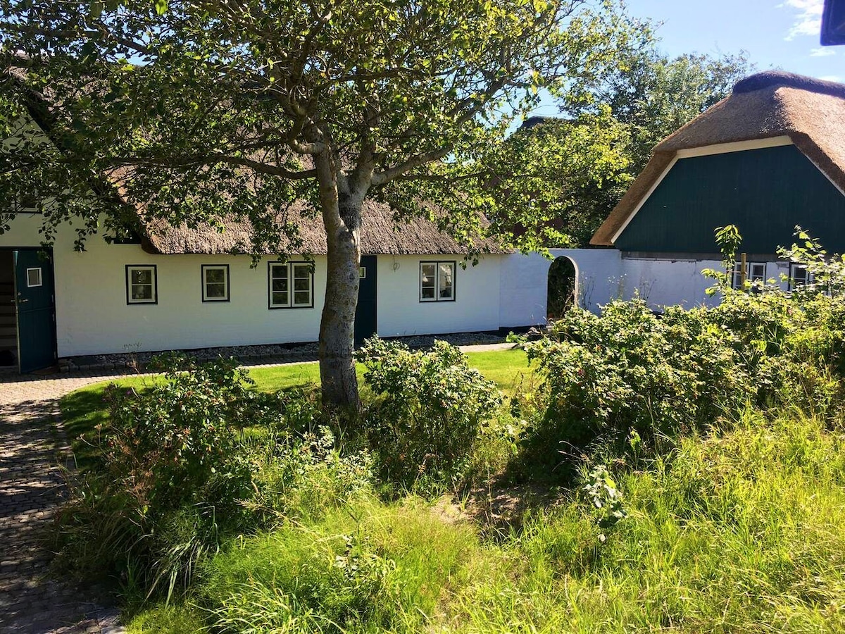 Gr. altes Kloster erste Reihe am Meer-Sauna Kamin