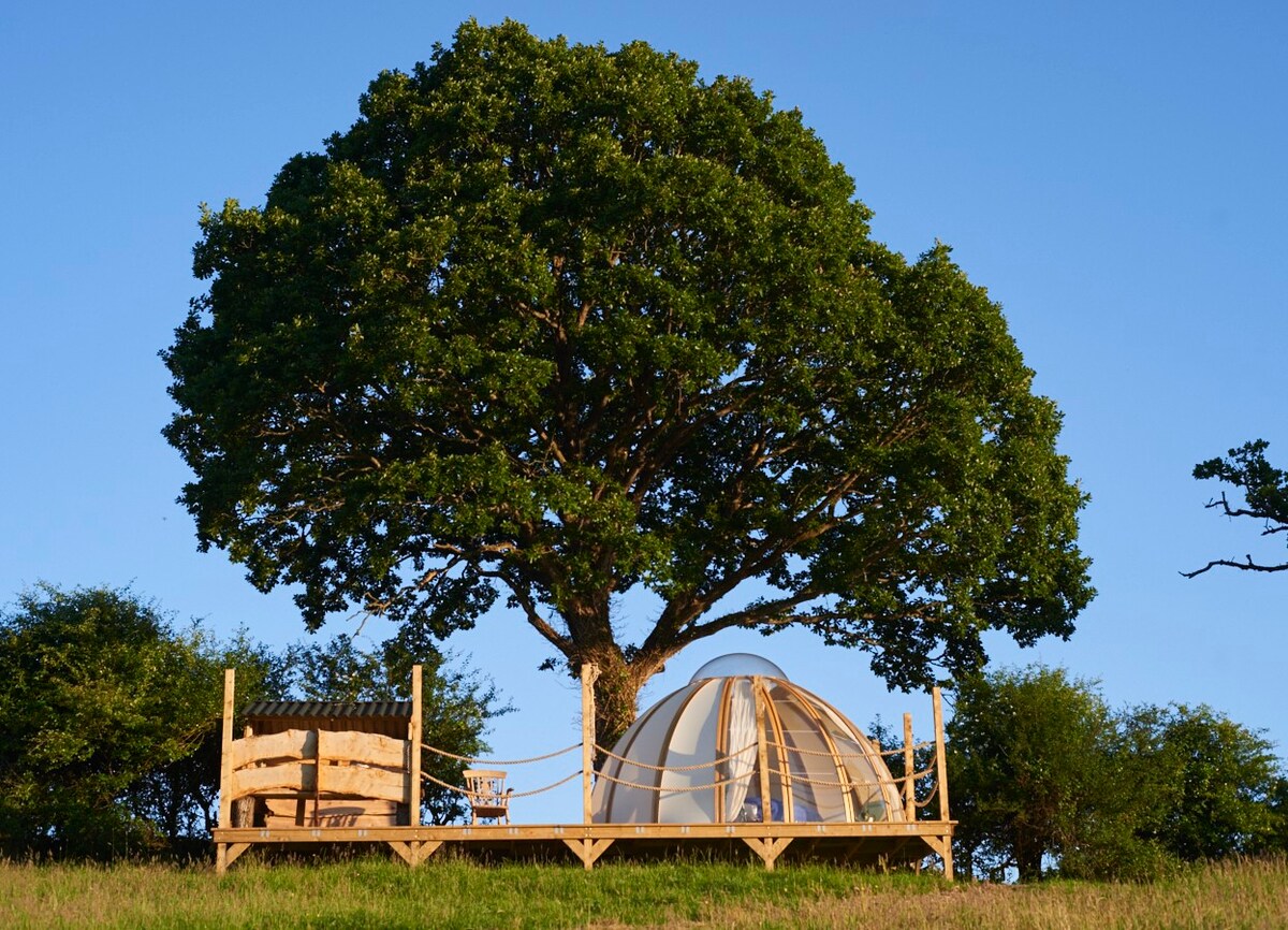 Romance at Oak Tree Dome - Un