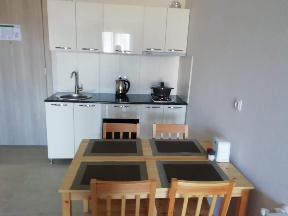 Apartment Bakuriani Plaza A209