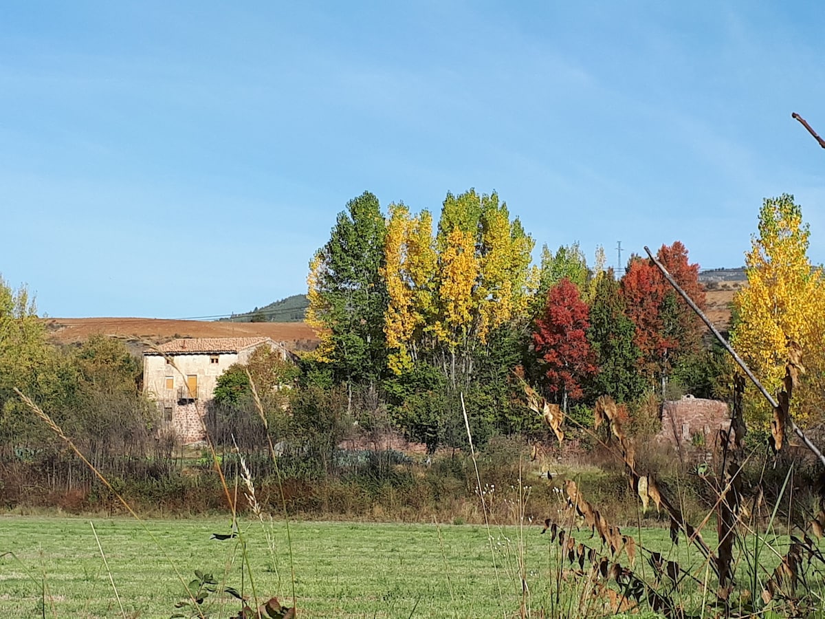 风车修复的Comarca Albarracin河景观