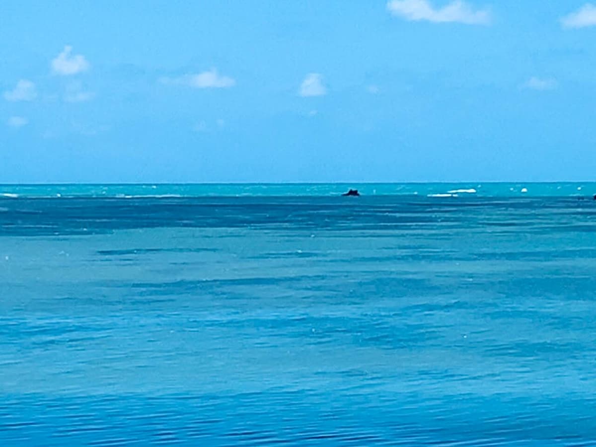 Coração da Praia de Ponta Verde ..