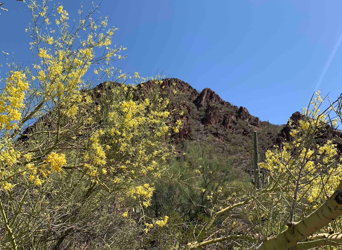 Bird's Nest Glamper Tucson