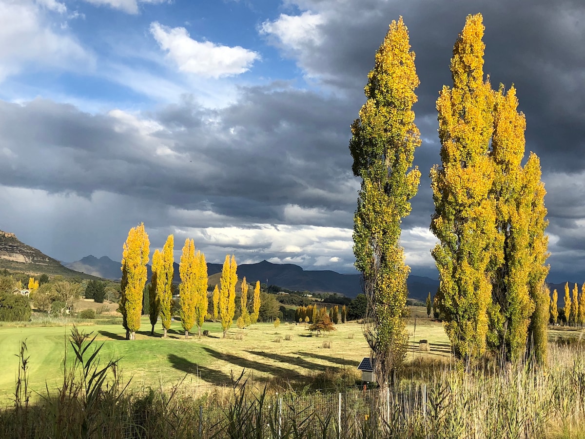 Birchwood A ：豪华高档单元@ Clarens