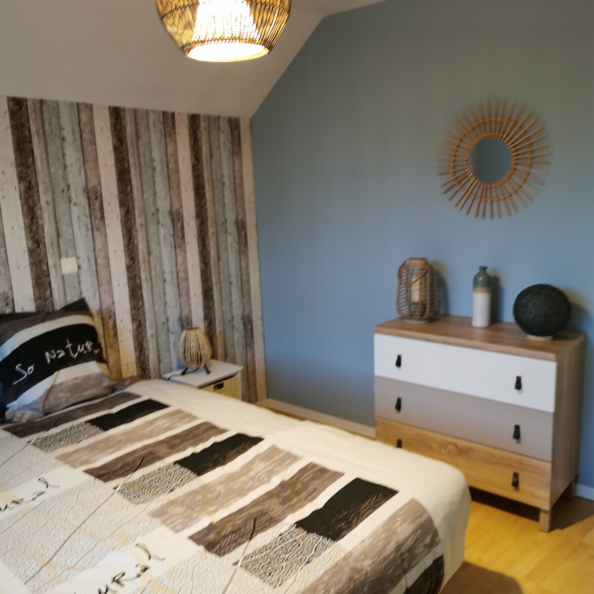 chambre nat sur l'axe EPINAL/NANCY