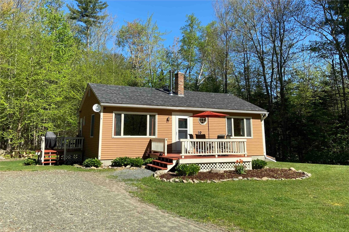 Toad Hill Hideaway - Mountainside Cabin