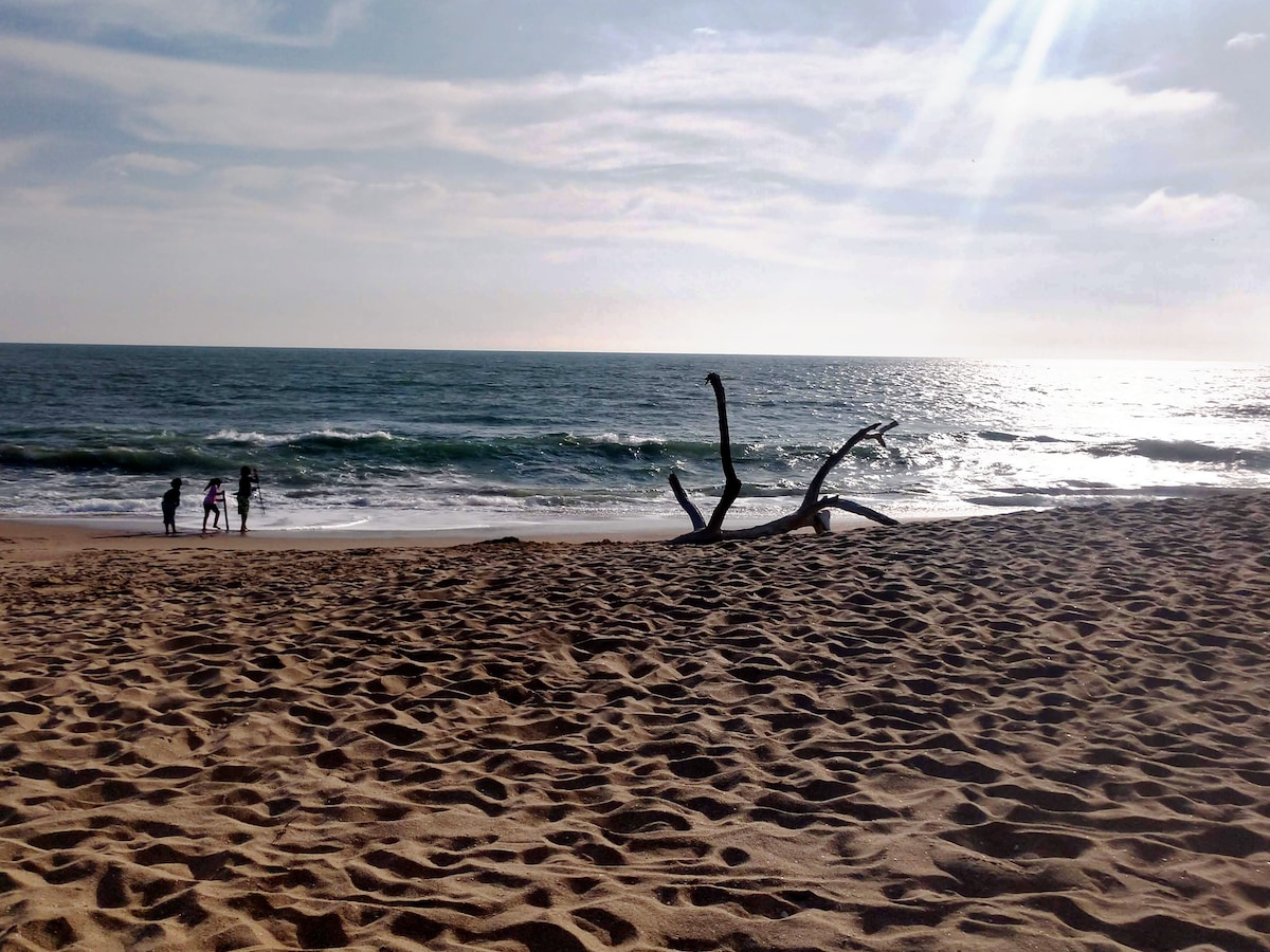 海洋海滩（ Ocean Beach ） -地中海大厦（ Mediterranean Tower ）公