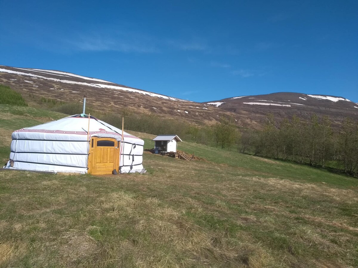 住在阿库雷里（ Akureyri ）郊外的蒙古包里，景色非常好