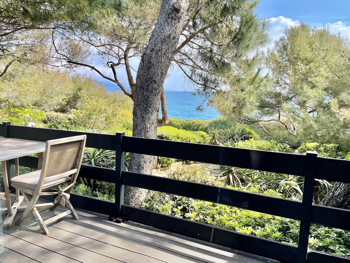 海景别墅，带私人游泳池，位于Cap d 'Antibes