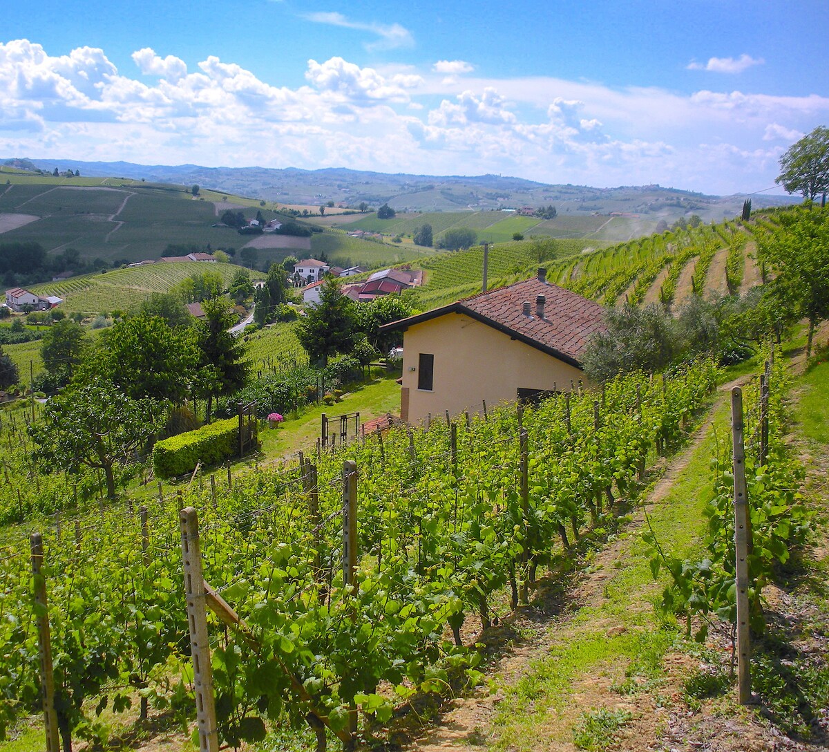 Cascina in the midineards NizzaMonferrato