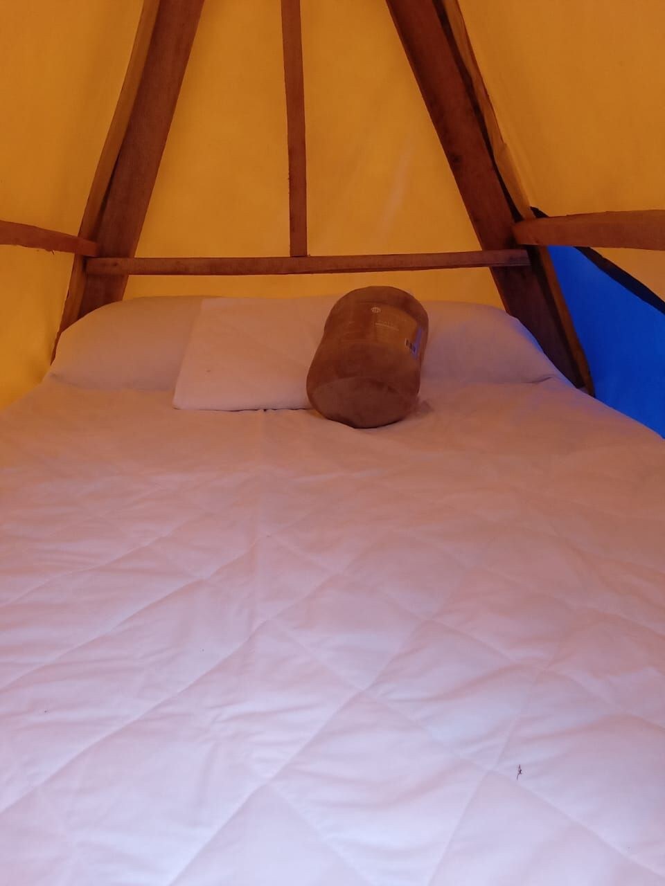 Camping reserva natural, Amarilla - Cocora