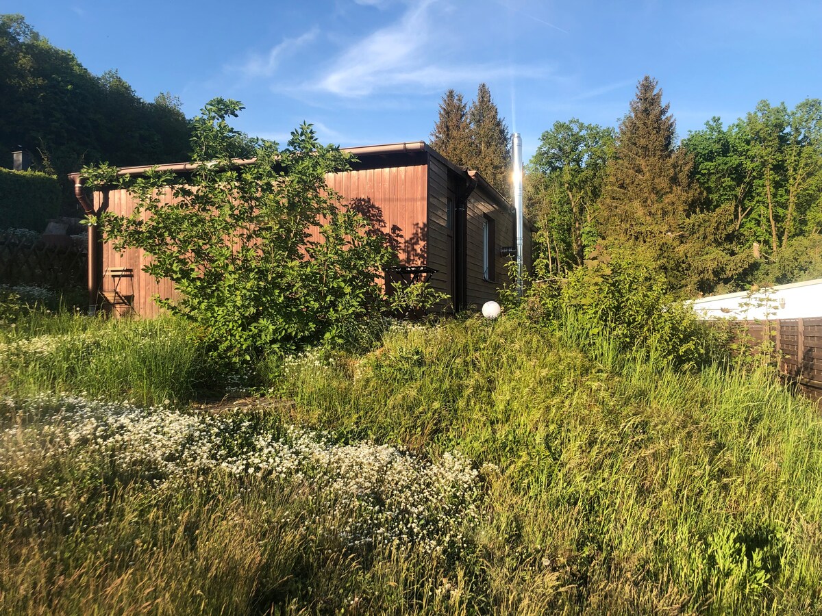 Familienparadies Leinemühle: Bungalow u Spielplatz