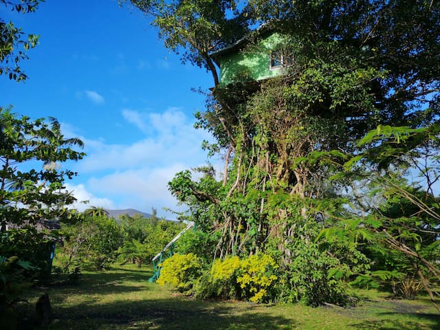 Tanna Island的民宿