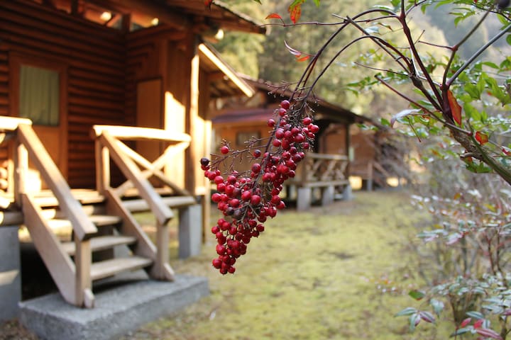 Nakatosa, Takaoka District的民宿