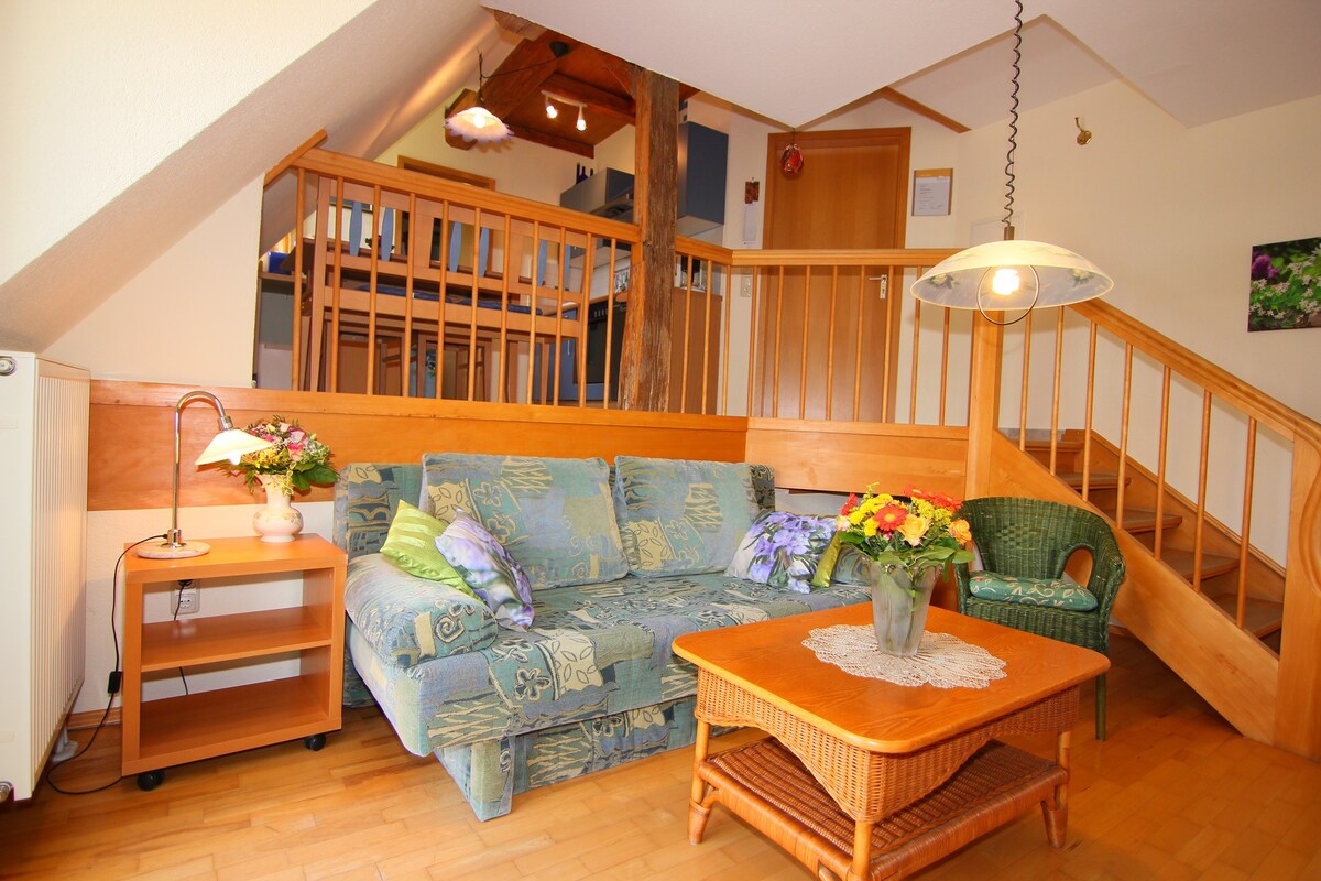 Pension im Vorhof (Windelsbach) ，公寓"Rosmarin" (50SQM) ，可入住4人