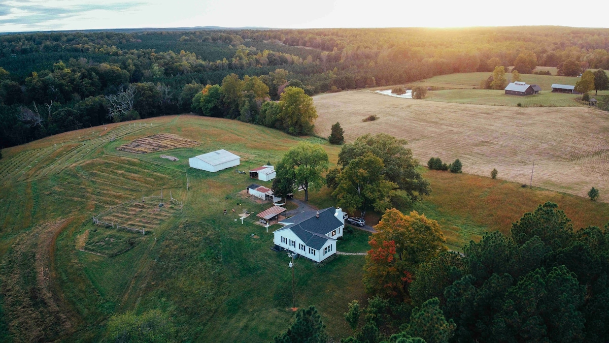 Peaceful & Cozy Farmstead on 14 Private Acres