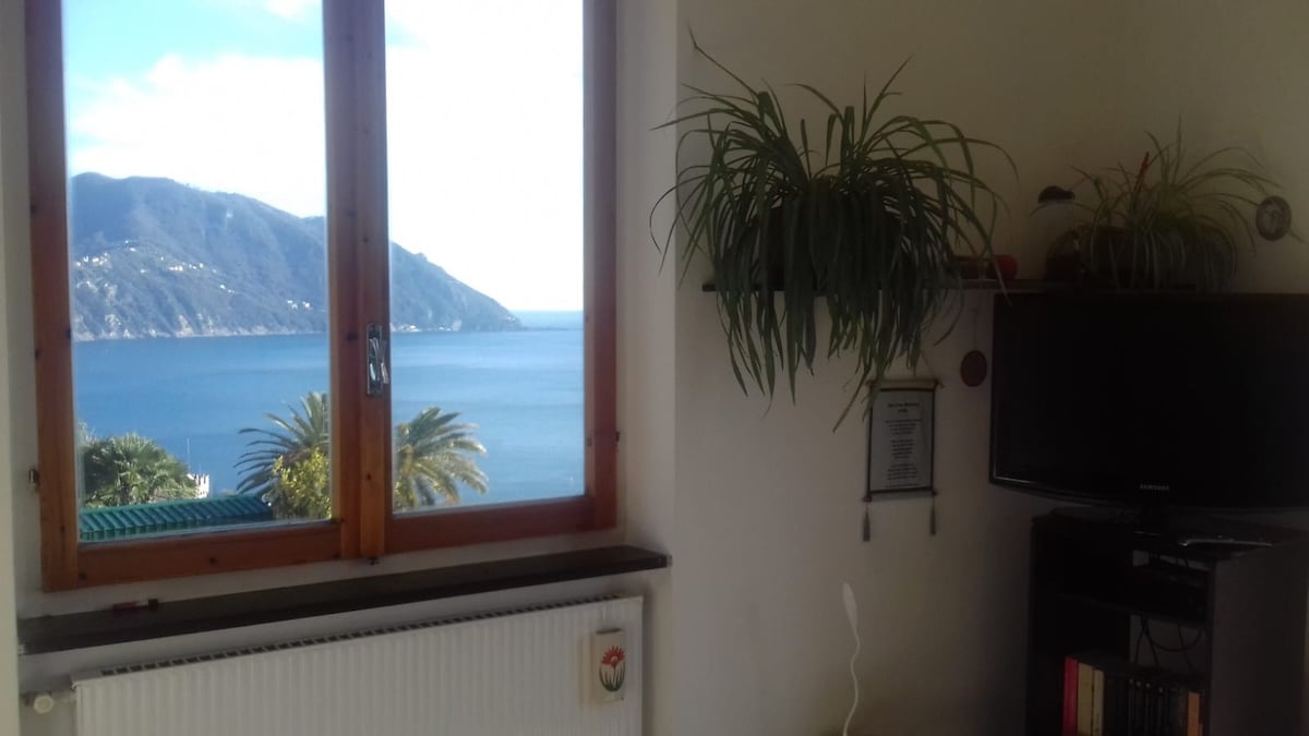 第2间客房： Polanesi民宿（ Recco-Genova ）